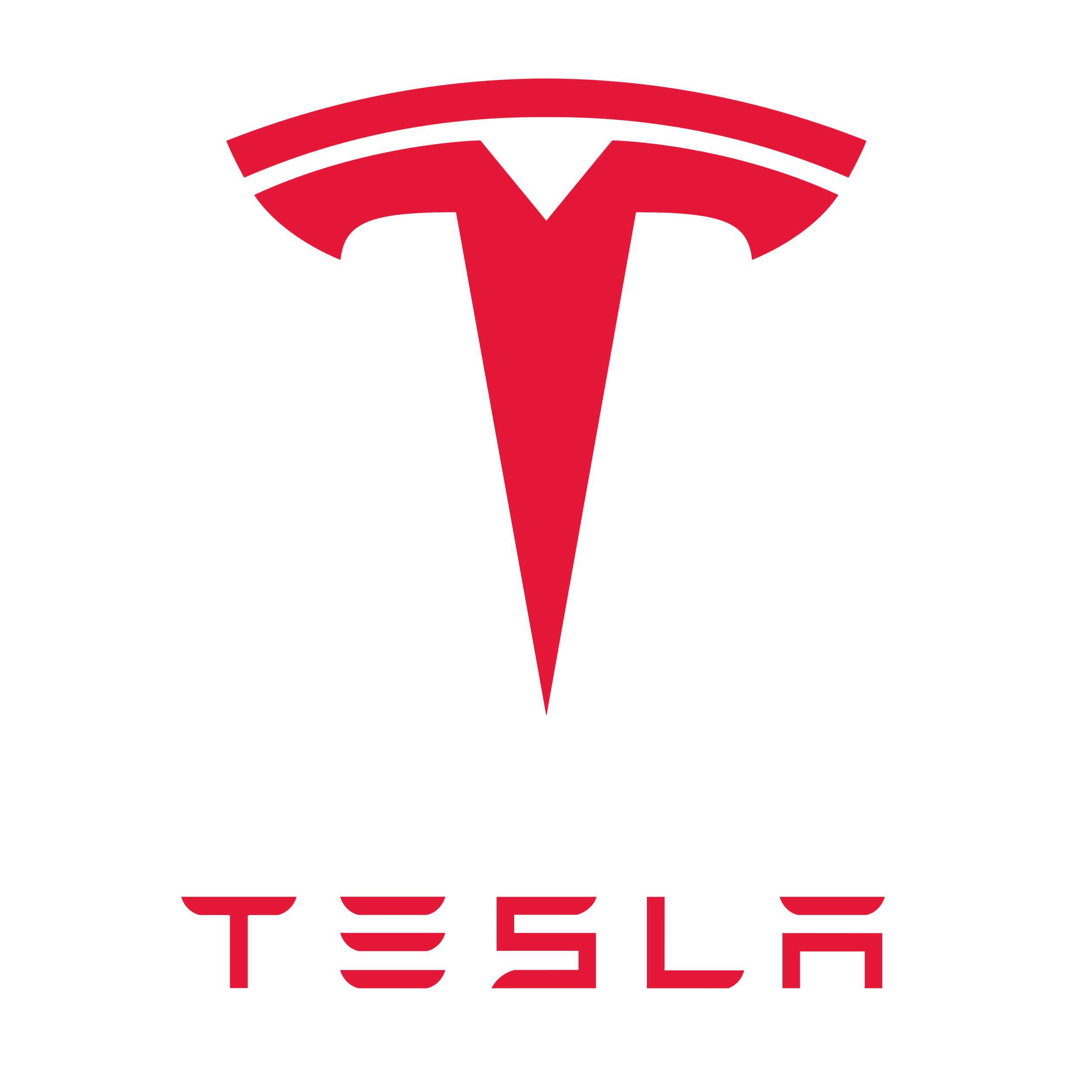 Tesla company